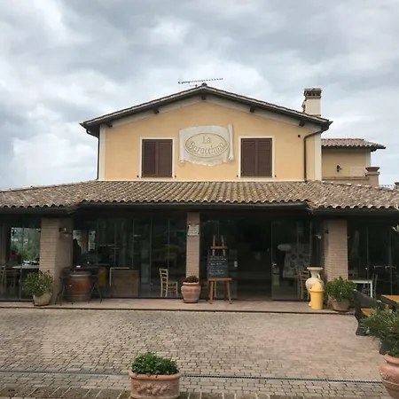 Le Della Baracchina Pisa