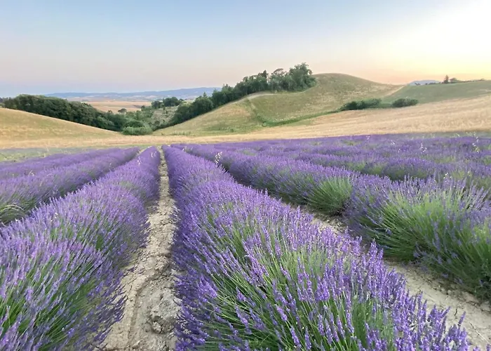 Tatil Evi Le Della Baracchina Pisa