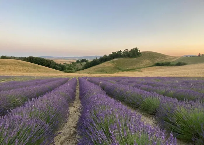 Le Della Baracchina Tatil Evi *